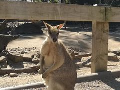 -费瑟代尔野生动物园