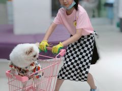 -怪兽屋·羊驼·猫咖·狗咖(俊华广场店)