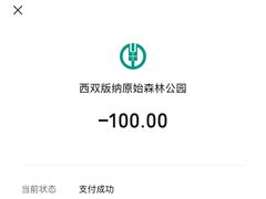 -西双版纳原始森林公园