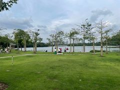 -顺峰山公园