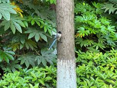 -苏州河梦清园环保主题公园