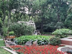 -上海海湾国家森林公园