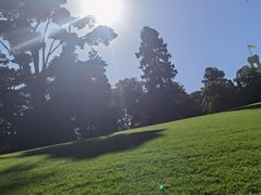 -墨尔本皇家植物园