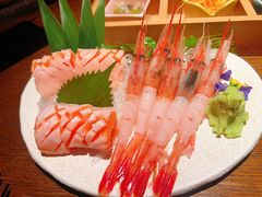 -鸟屯(三里屯店)