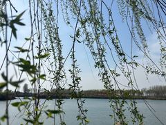 -黄河富景生态世界