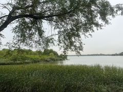 -丁香湖公园