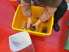 -蟹天蟹地农家菜·阳澄湖大闸蟹(浅水湾店)