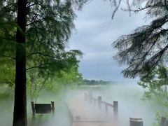 -东湖落雁景区