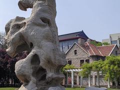 -山东大学(趵突泉校区)