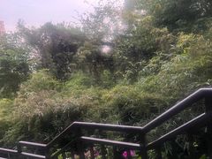 -仙岳公园