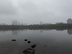 -世纪公园-1号门停车场