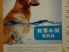 -瑞鹏·疫苗·绝育·宠物医院(金沙洲店)