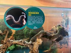 -杭州野生动物世界