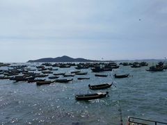 -海源公园