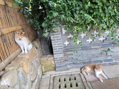 -龙华寺