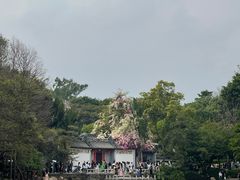 -深圳国际园林花卉博览园