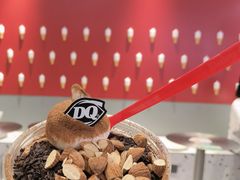 -DQ·蛋糕·冰淇淋(新佳丽店)