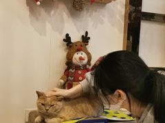 用餐区-Catmate·猫肥家润(金润铂宫店)