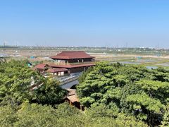 -大湾区中央湿地公园