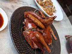 -喜来登由由大酒店九州膳坊中餐厅