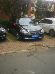 -蚂蚁婚车