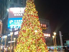 -江燕路万科里