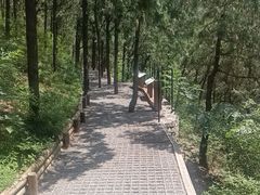 -佛慧山