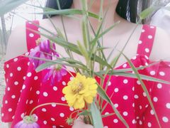 -合肥滨湖国家森林公园