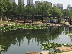 -前关湿地公园