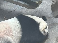 -宁波野生动物园