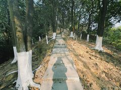 -火炉山森林公园