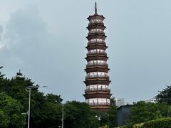 -小茶闲舍·观景商务茶馆(广州塔店)