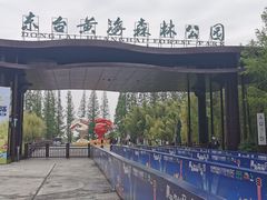 -黄海国家森林公园