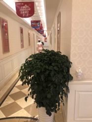 点击看大图 -昆明梦想医疗美容医院