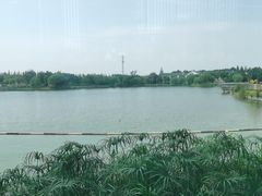 -上海长兴岛郊野公园