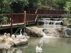 -云丘山景区