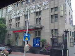 -申普宠物医院·心脏介入·心血管微创(总院)
