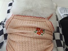 -怪兽屋·羊驼·猫咖·狗咖(俊华广场店)