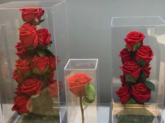 -ROSEONLY诺誓(青岛万象城店)