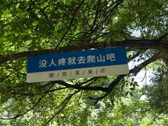 -石台牯牛降景区