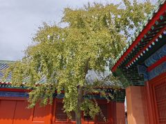 -历代帝王庙博物馆