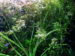 -上海海洋水族馆