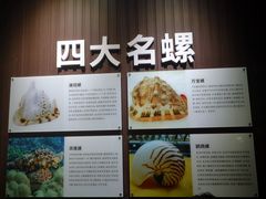 -贝壳王国博物馆