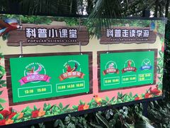 -广州长隆飞鸟乐园