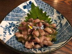 芥末章鱼-北海银滩·鉳海(星湖店)
