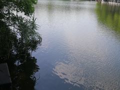 -白马涧龙池景区