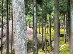 -玉苍山国家森林公园