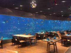 大堂-海棠湾洲际-涛·海底餐厅·美人鱼·自助餐·海底隧道