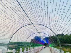 -青龙湖公园