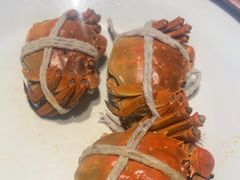 -杨氏青龙虾·羊蝎子(托乐嘉店)